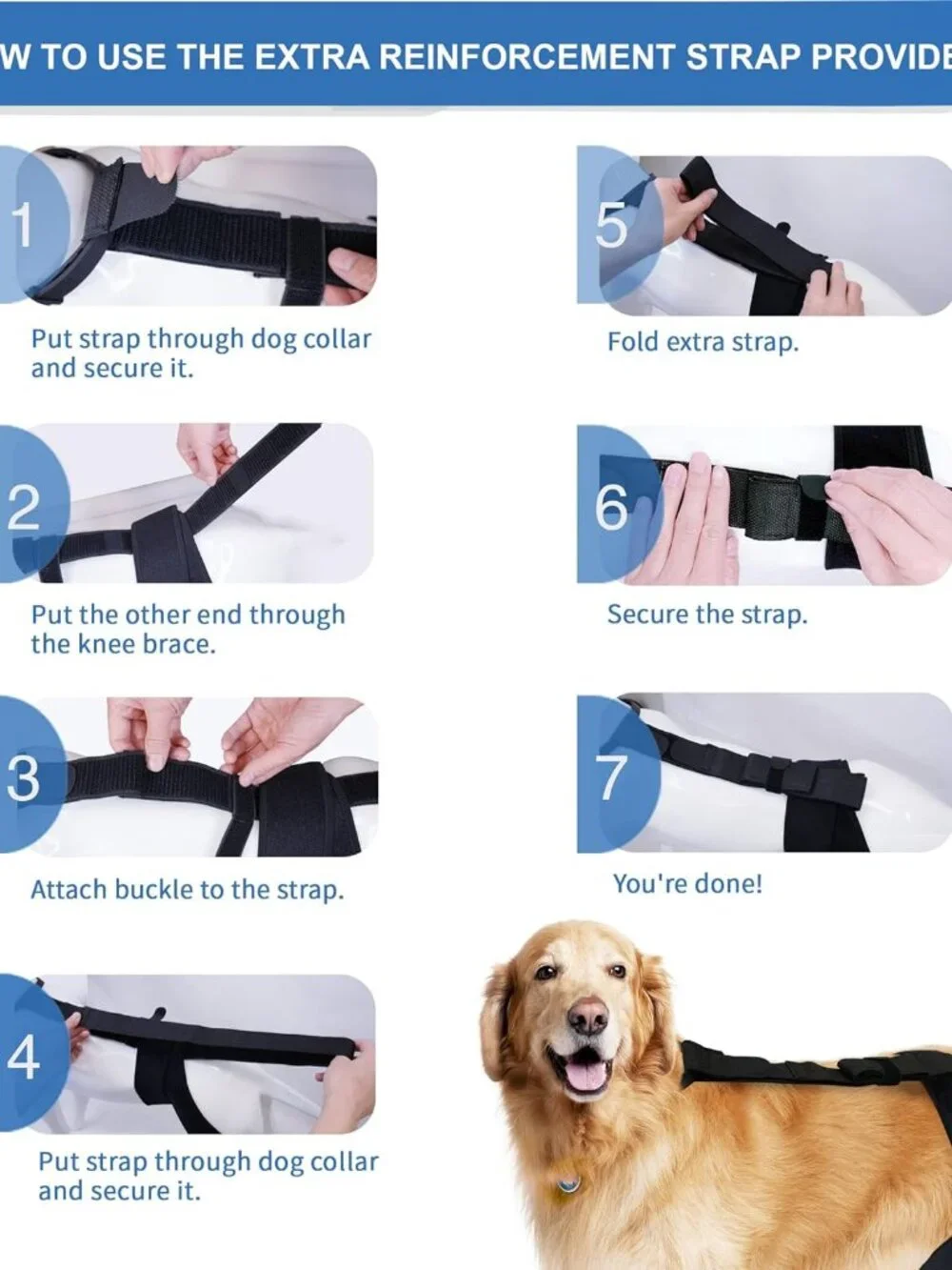 Dog Knee Brace for Hind Leg Support, Helps Stabilize ACL